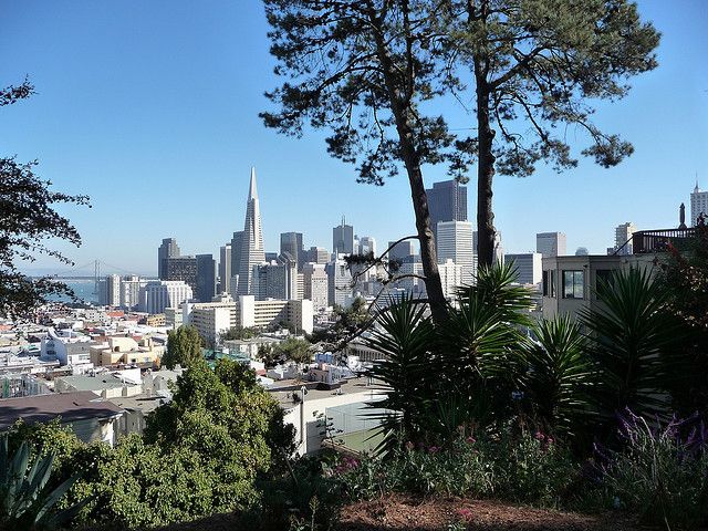 SAN FRANCISCO MARAVILLOSA 2026