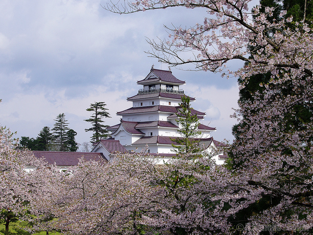 Encantos de Japón Fin Tokio