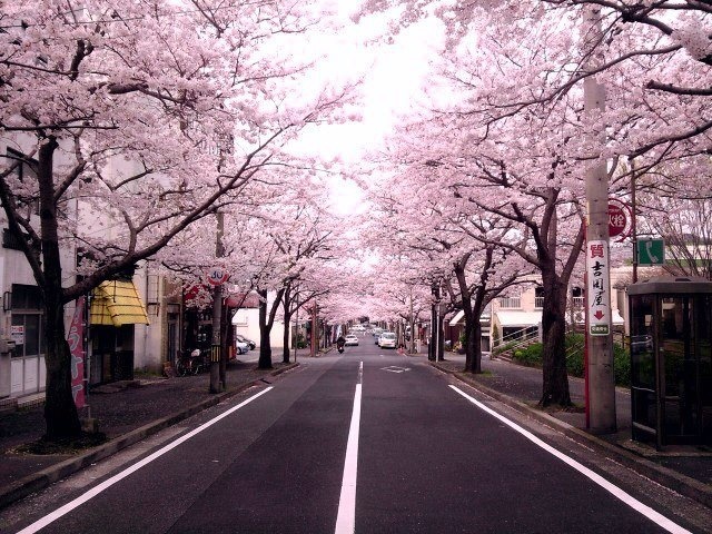Luces de Japon y Corea