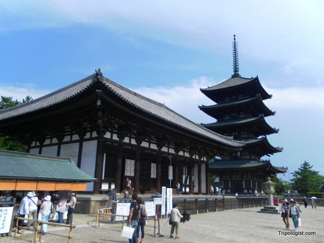 Explorando Japón y Corea