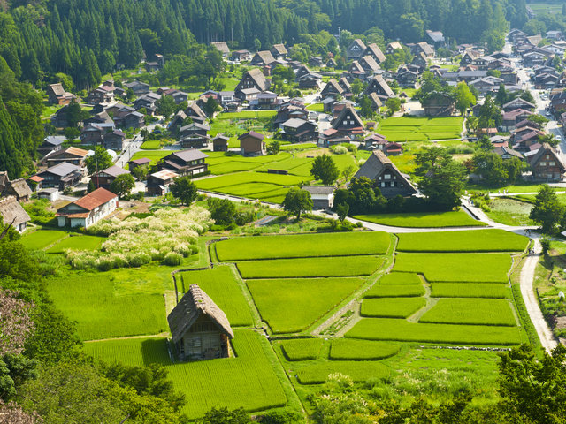 Viaje al Corazón de Japón