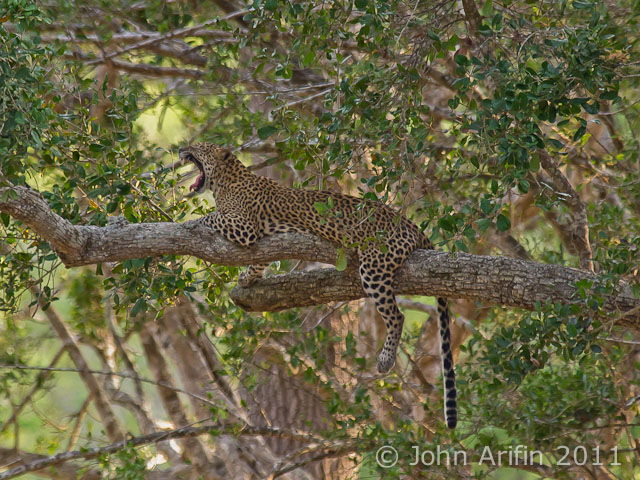 Maravillas de Sri Lanka