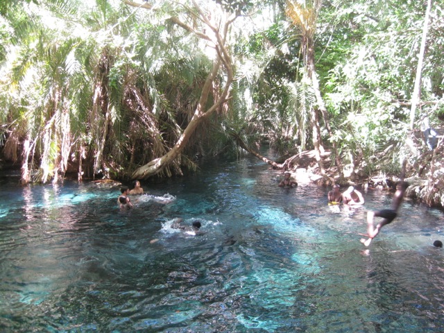 TANZANIA ESENCIAL (+1n Arusha al final)